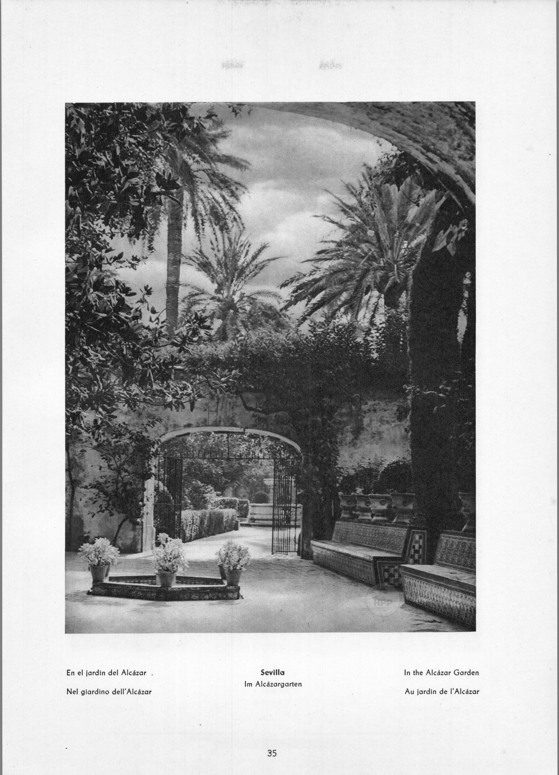 Sevilla Alcázar - In The Alcázar Garden
