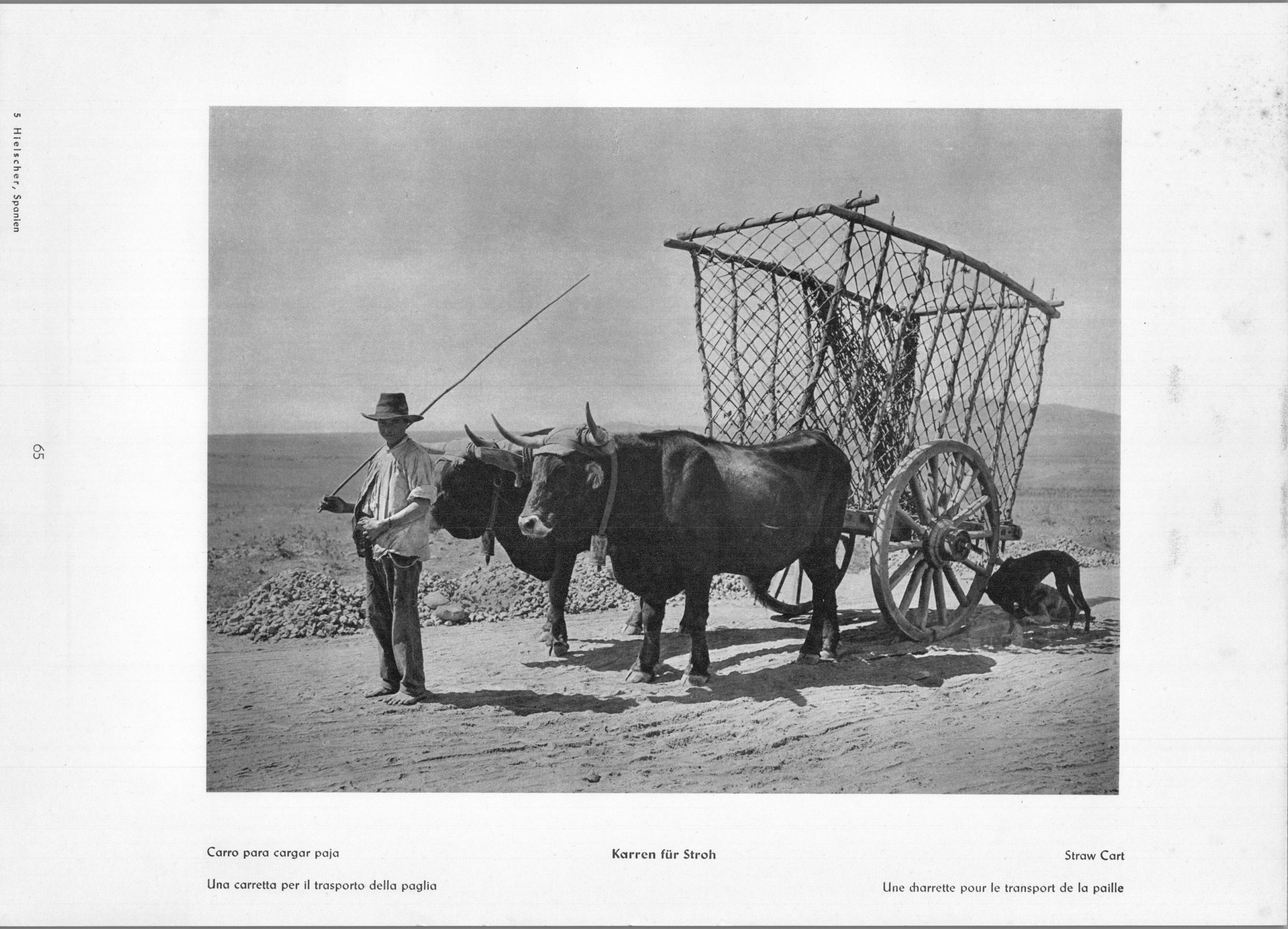 País - Straw Cart