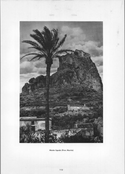 Photo 119: Murcia – Monte Agudo (Prov. Murcia)